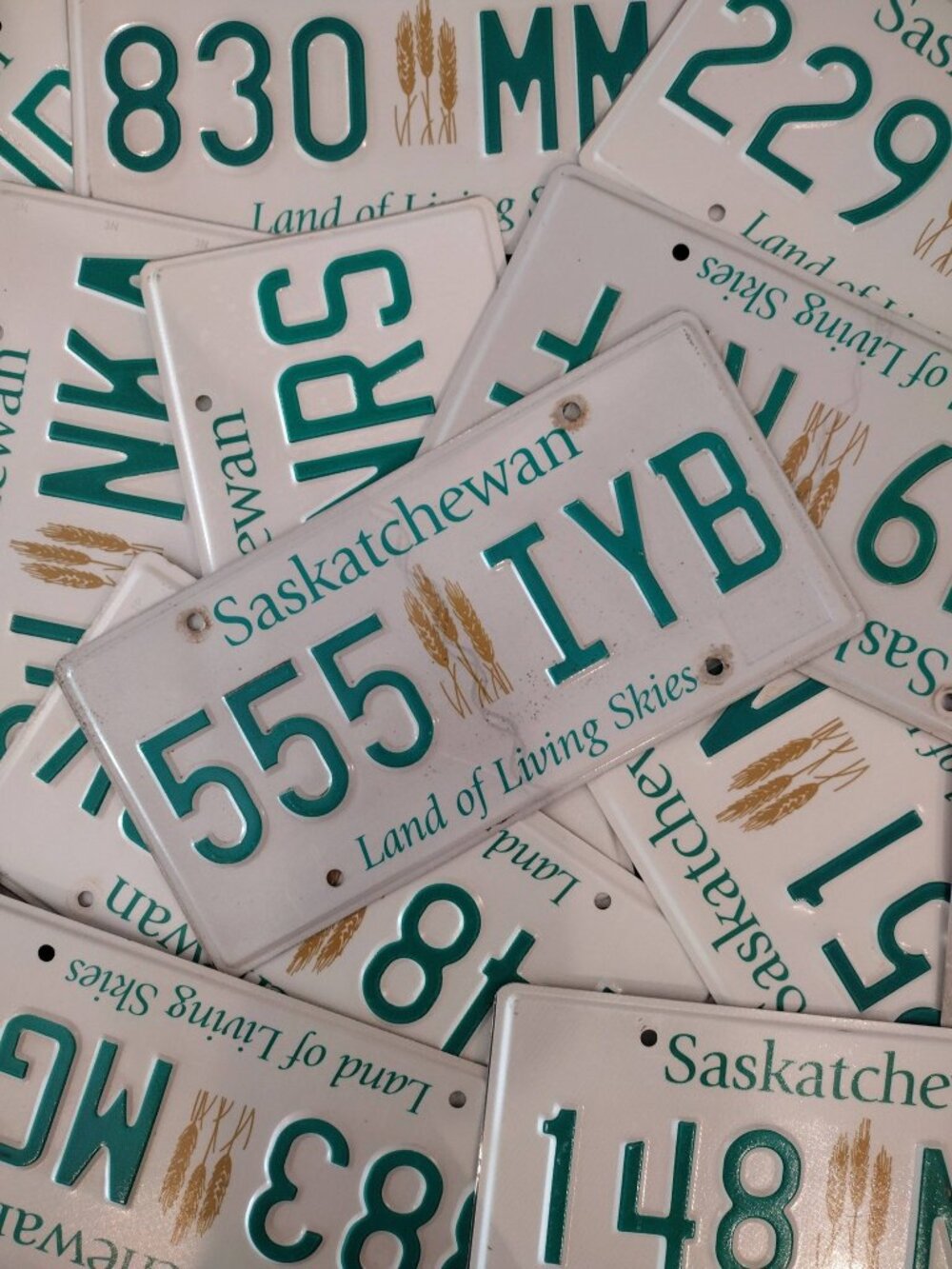 Authentic 2021 Saskatchewan CANADA License Plate 🇨🇦 Land Of Living Skies Wheat